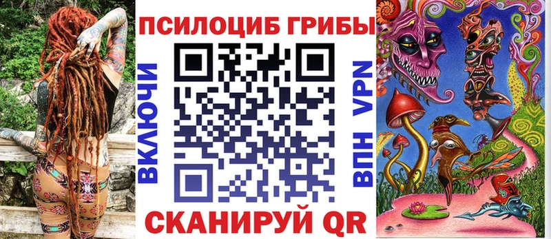 Псилоцибиновые грибы Psilocybe  Купить закладки  Томск 