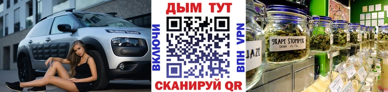 Купить где  Томск  Конопля семена 